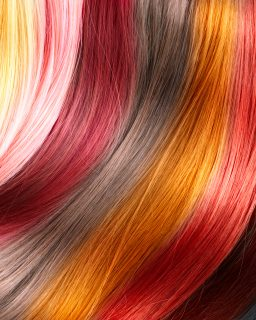 Sharon Academy Hair Coloring